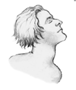 Bild p� halsen