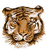 Bild p� tiger